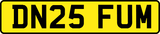 DN25FUM