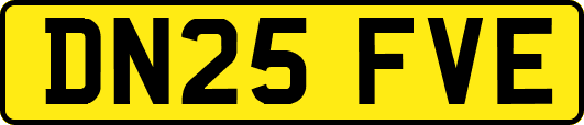 DN25FVE