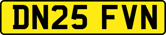 DN25FVN