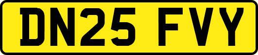 DN25FVY