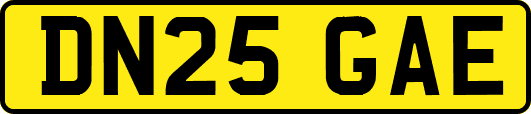 DN25GAE