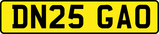 DN25GAO