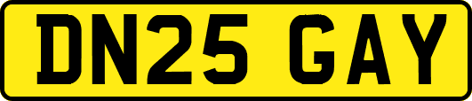 DN25GAY