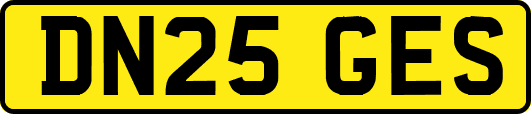 DN25GES