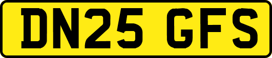 DN25GFS
