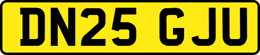 DN25GJU