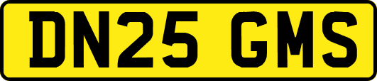 DN25GMS