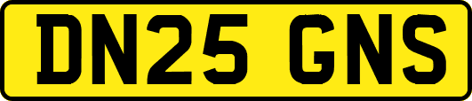 DN25GNS