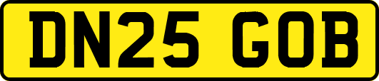 DN25GOB
