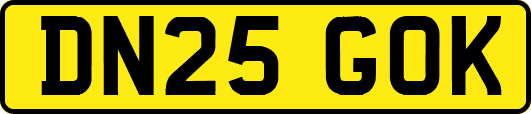 DN25GOK