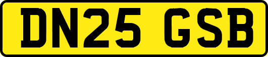 DN25GSB