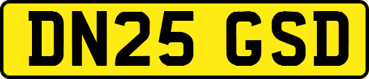 DN25GSD
