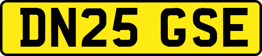 DN25GSE
