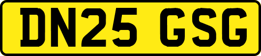DN25GSG