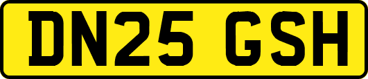 DN25GSH