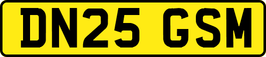 DN25GSM