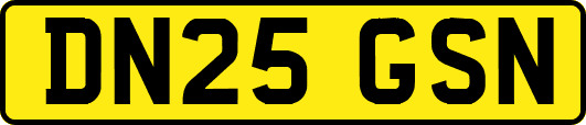 DN25GSN