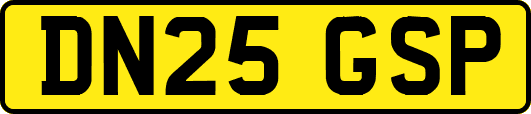 DN25GSP