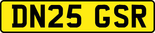 DN25GSR