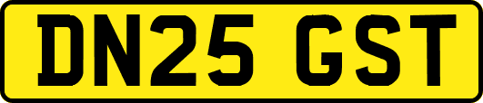 DN25GST