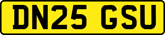 DN25GSU