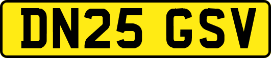 DN25GSV