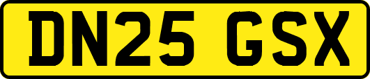 DN25GSX