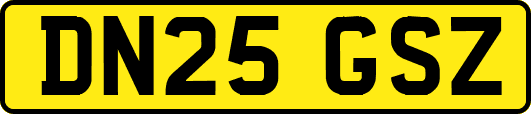 DN25GSZ