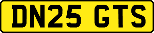 DN25GTS