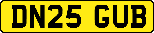 DN25GUB