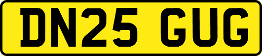 DN25GUG