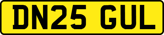 DN25GUL