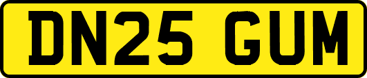 DN25GUM