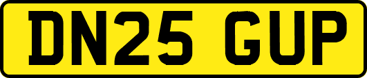 DN25GUP