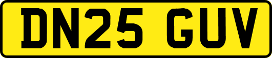 DN25GUV