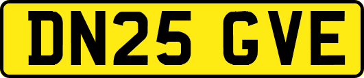 DN25GVE