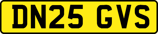 DN25GVS