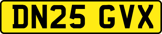 DN25GVX