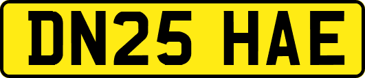DN25HAE