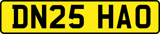 DN25HAO