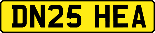 DN25HEA