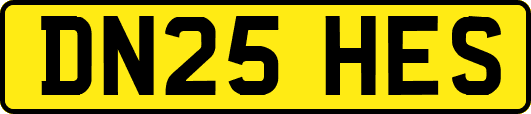 DN25HES