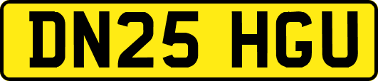 DN25HGU