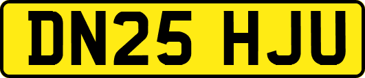 DN25HJU