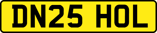 DN25HOL