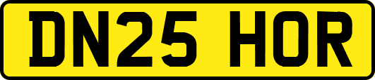 DN25HOR