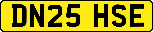 DN25HSE