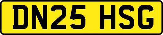 DN25HSG