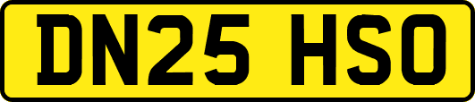DN25HSO