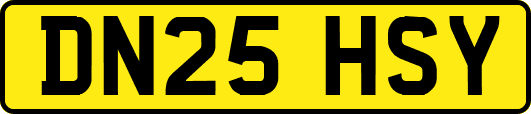 DN25HSY